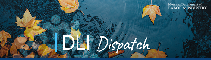 DLI Dispatch Image